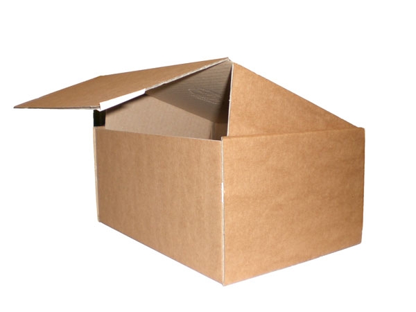 Klappfix - Klappdeckelkarton 250 mm x 180 mm x 120 mm (L x B x H)