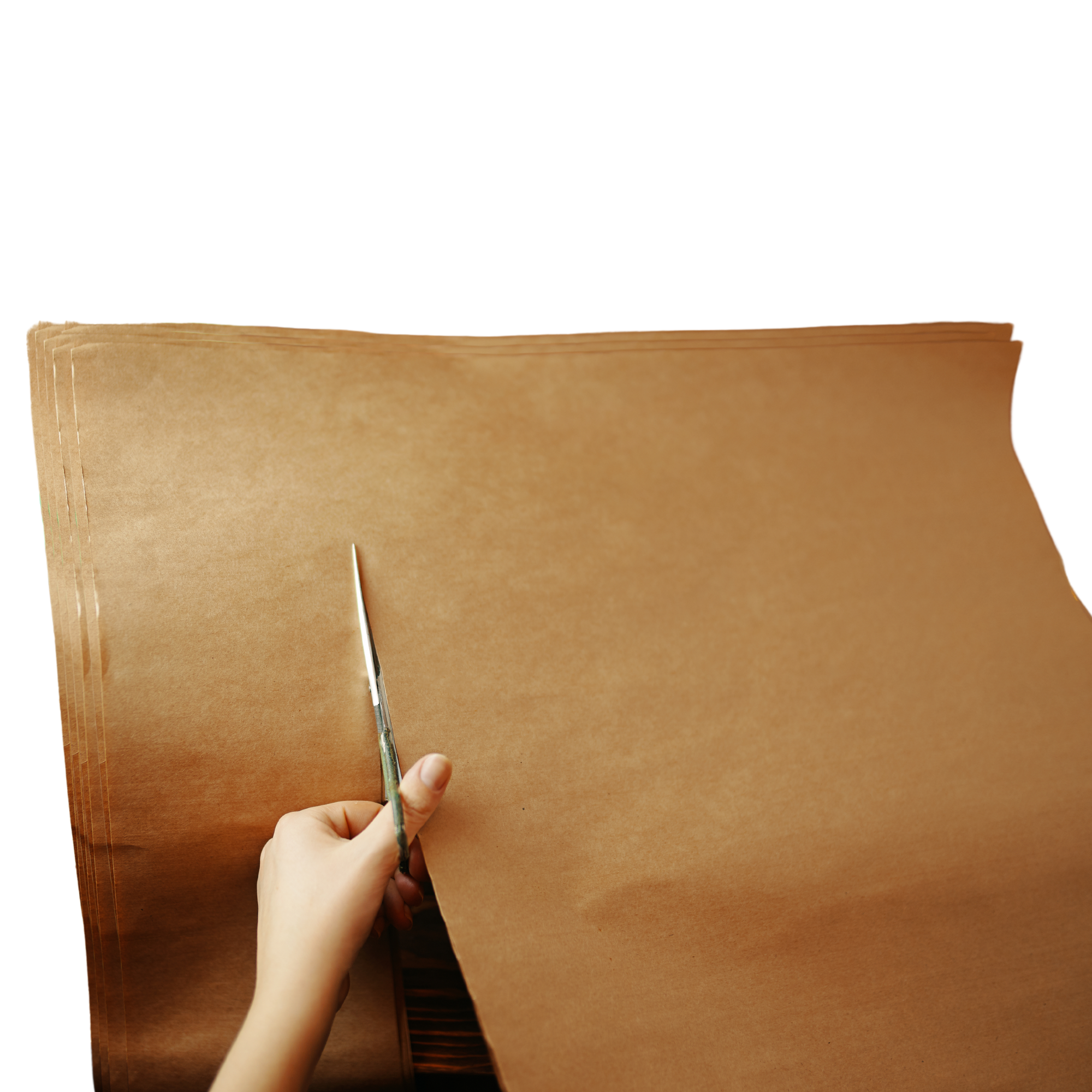Packpapier Zuschnitte 