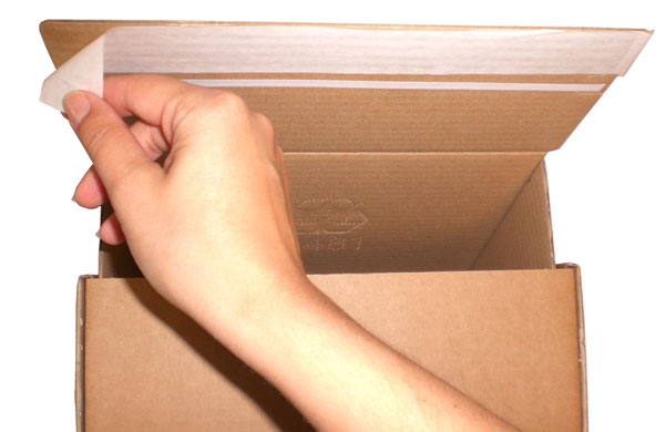 Klappfix - Klappdeckelkarton 250 mm x 180 mm x 120 mm (L x B x H)