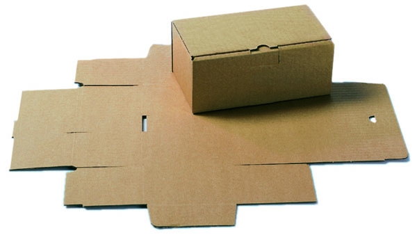 Klappdeckel-Schachtel 242 mm x 130 mm x 60 mm (L x B x H)