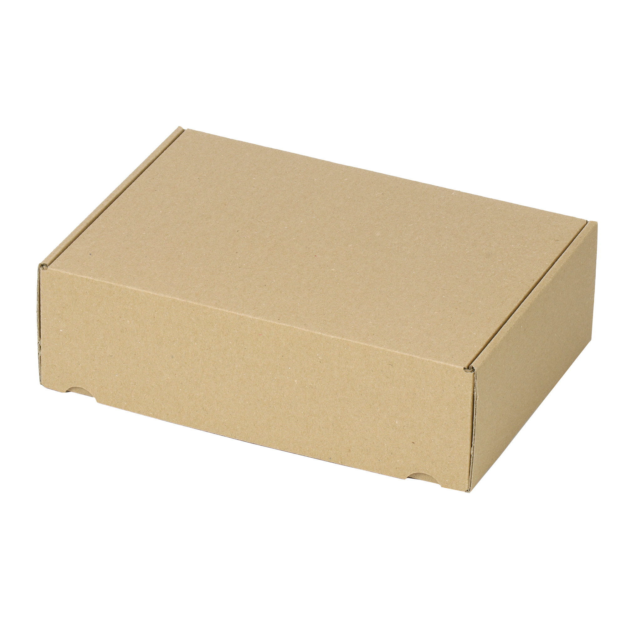 Versandbox  Eco 245 mm x 175 mm x 75 mm (L x B x H)